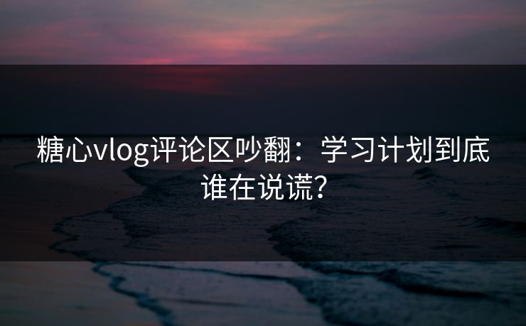 糖心vlog评论区吵翻：学习计划到底谁在说谎？