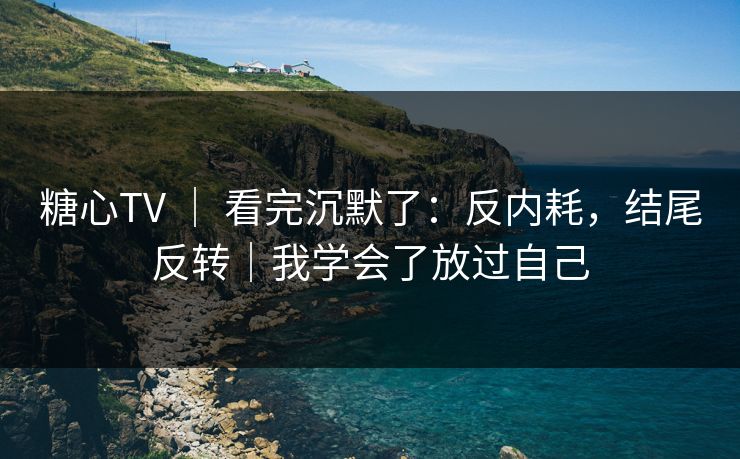 糖心TV ｜ 看完沉默了：反内耗，结尾反转｜我学会了放过自己