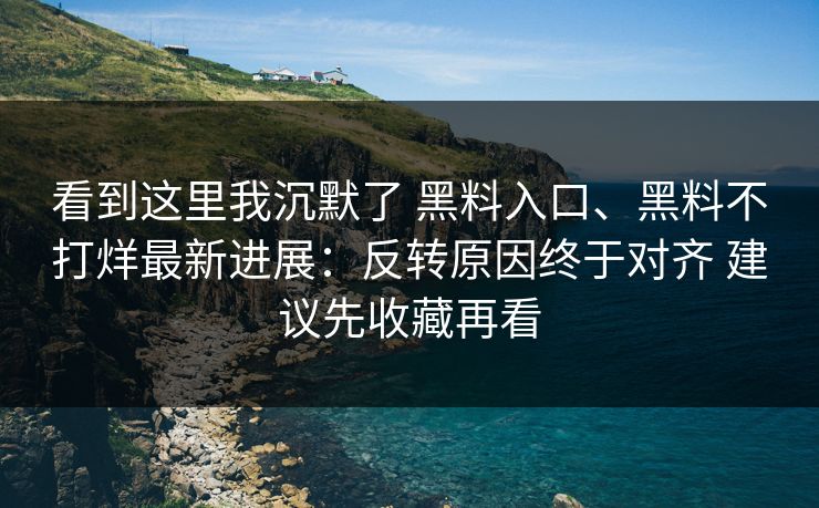 看到这里我沉默了 黑料入口、黑料不打烊最新进展：反转原因终于对齐 建议先收藏再看