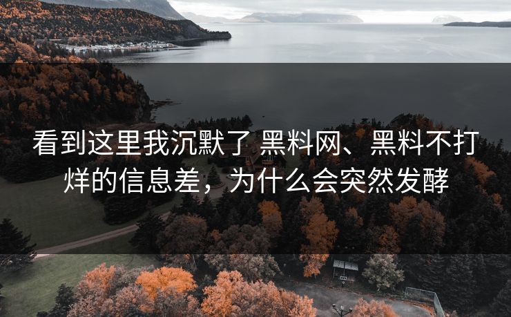 看到这里我沉默了 黑料网、黑料不打烊的信息差，为什么会突然发酵