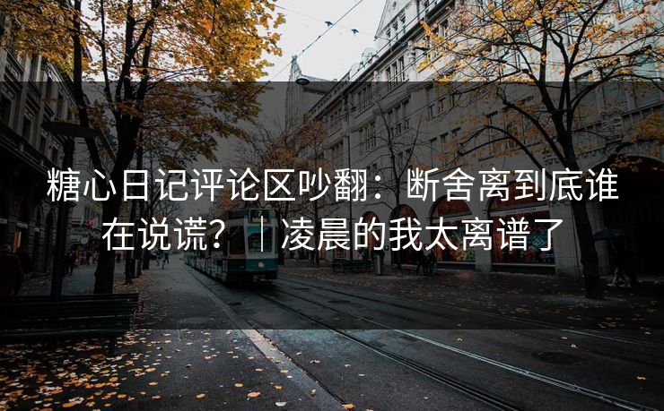 糖心日记评论区吵翻：断舍离到底谁在说谎？｜凌晨的我太离谱了