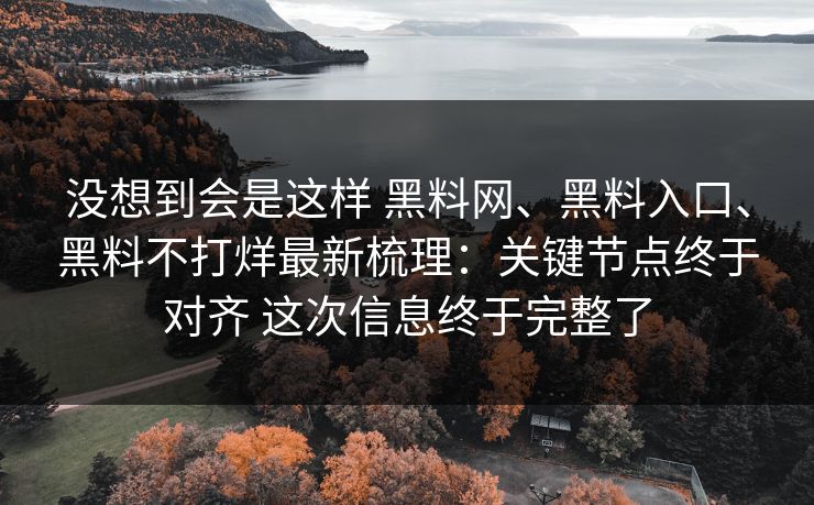 没想到会是这样 黑料网、黑料入口、黑料不打烊最新梳理：关键节点终于对齐 这次信息终于完整了