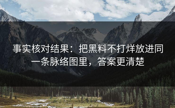 事实核对结果：把黑料不打烊放进同一条脉络图里，答案更清楚