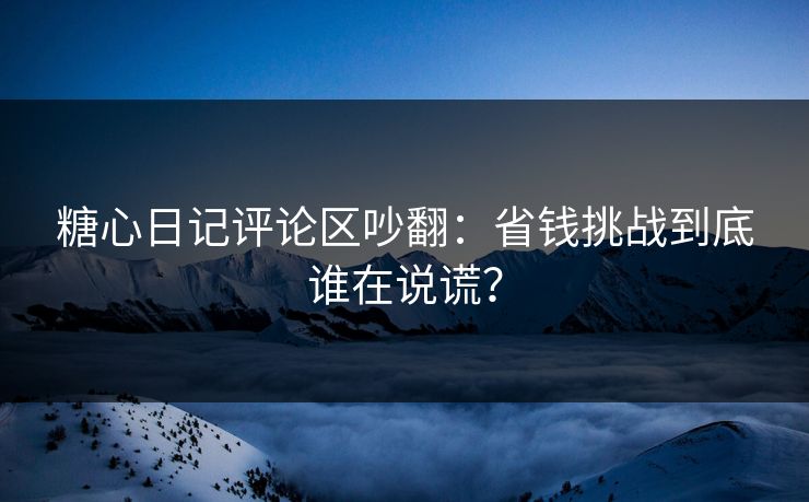 糖心日记评论区吵翻：省钱挑战到底谁在说谎？