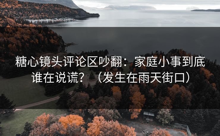 糖心镜头评论区吵翻：家庭小事到底谁在说谎？（发生在雨天街口）
