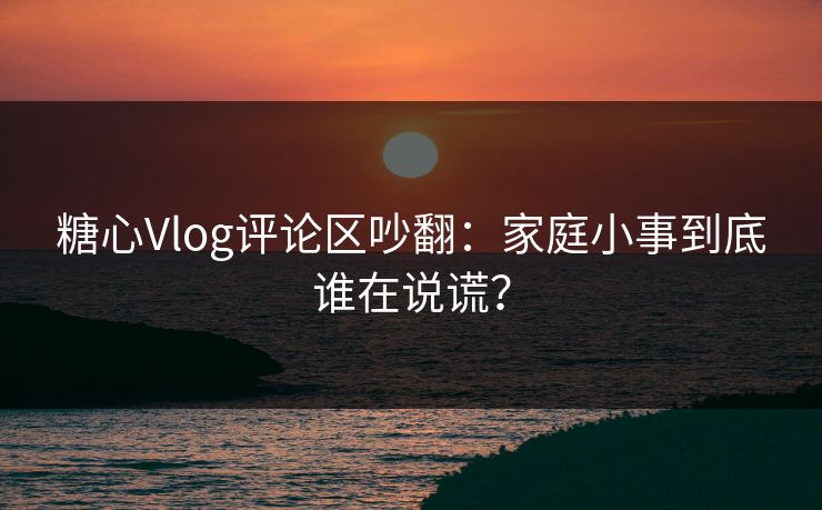 糖心Vlog评论区吵翻：家庭小事到底谁在说谎？
