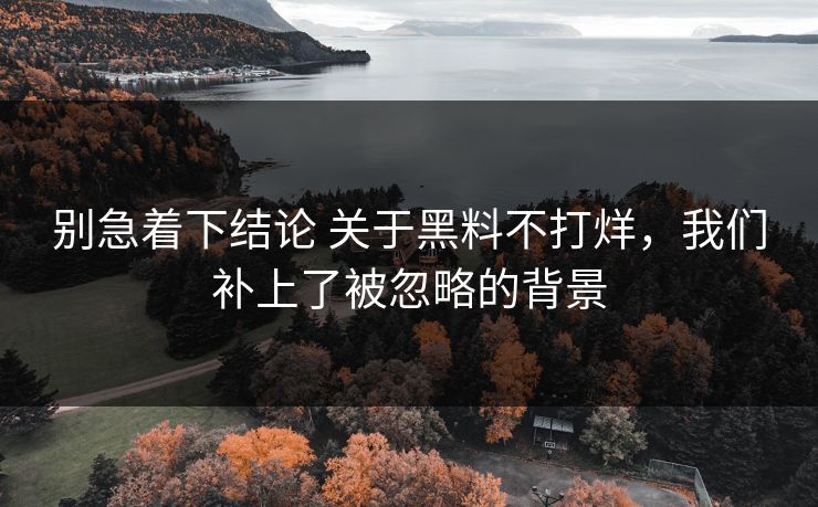 别急着下结论 关于黑料不打烊，我们补上了被忽略的背景