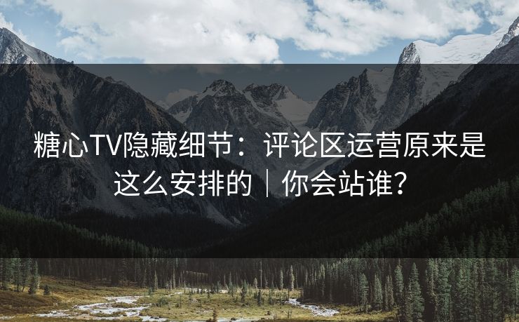 糖心TV隐藏细节：评论区运营原来是这么安排的｜你会站谁？