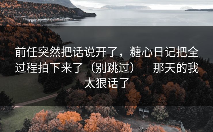 前任突然把话说开了，糖心日记把全过程拍下来了（别跳过）｜那天的我太狠话了