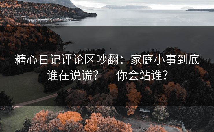 糖心日记评论区吵翻：家庭小事到底谁在说谎？｜你会站谁？