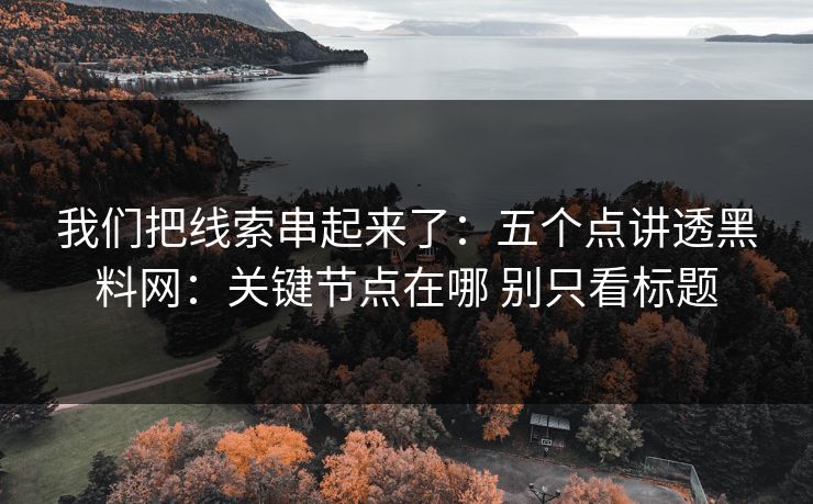 我们把线索串起来了：五个点讲透黑料网：关键节点在哪 别只看标题