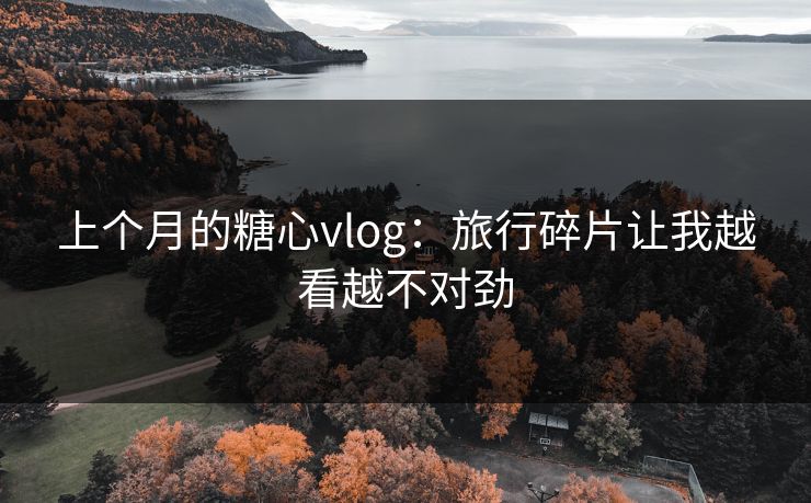 上个月的糖心vlog：旅行碎片让我越看越不对劲