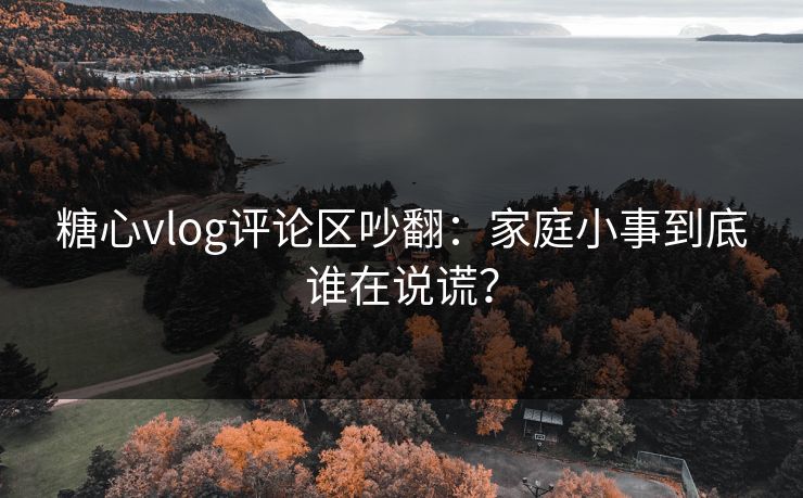 糖心vlog评论区吵翻：家庭小事到底谁在说谎？  第1张