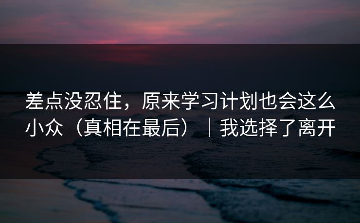 差点没忍住，原来学习计划也会这么小众（真相在最后）｜我选择了离开